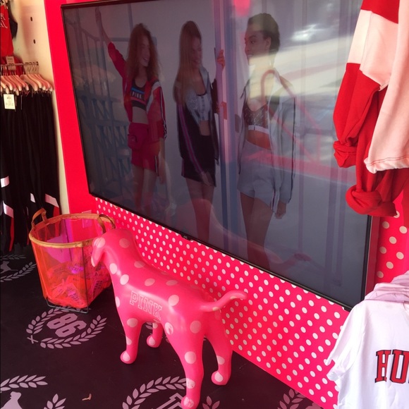 💕🎉⭐️PINK BUS TOUR⭐️🎉💕 - Picture 6 of 8